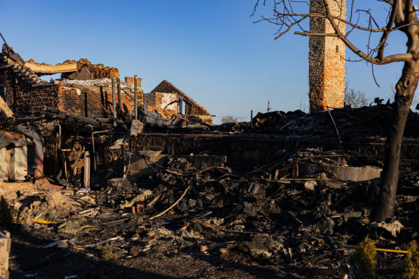 Reliable Content Restoration contractor in Sanibel, FL by Fire Damage Laser Cleaning